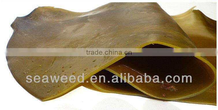 Dried konbu /kelp/Laminaria japonica