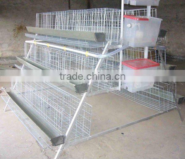 China/Chinese poultry farm layer cage