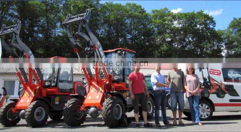 Everun Brand New 2.8Ton Diesel Forklift