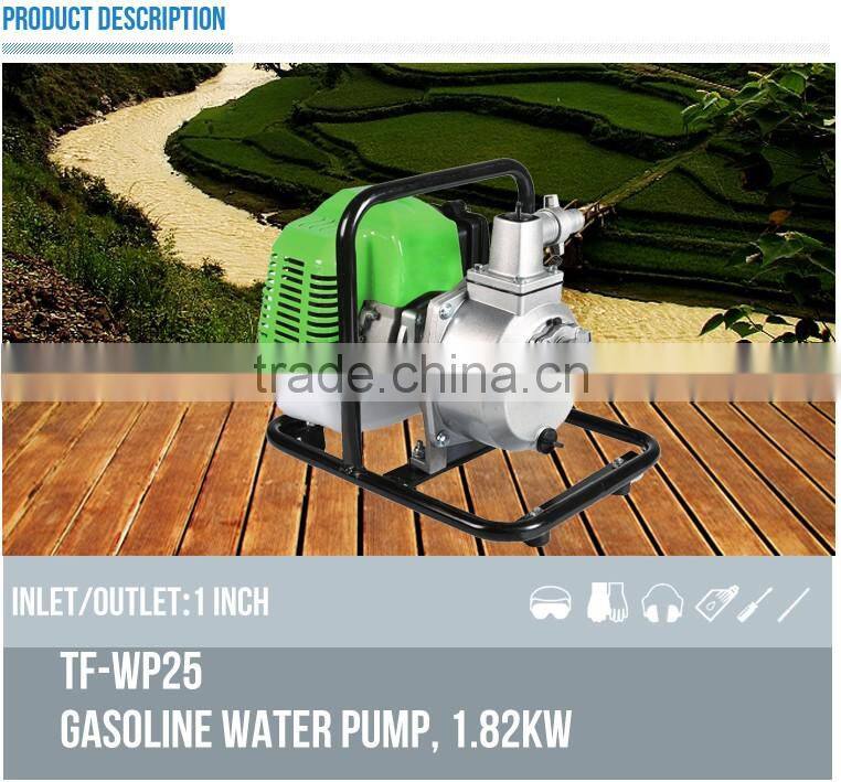High Pressure food grade mini water pump
