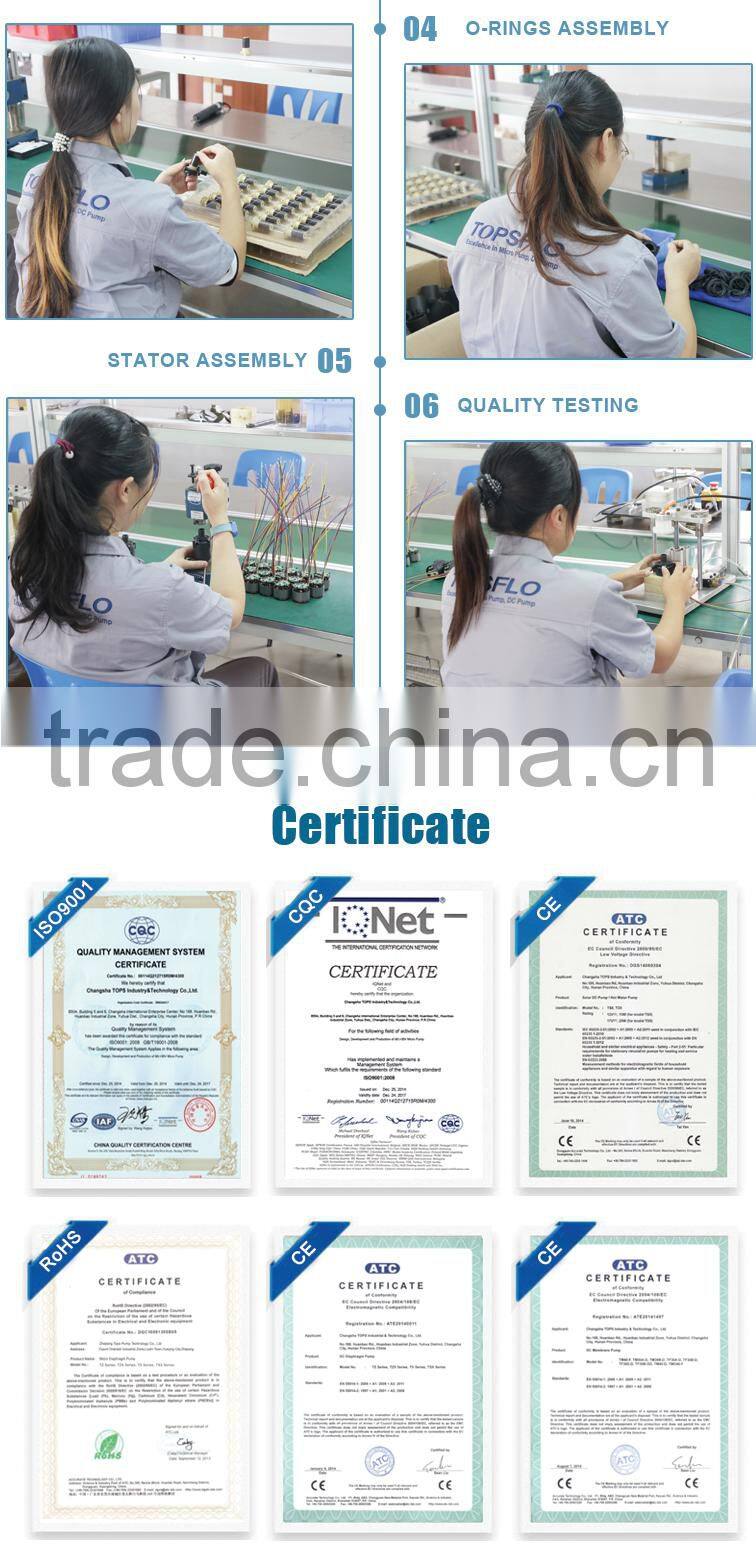 High Performance Liquid DC Diaphragm Chemical Free Water Treatment Systems pump