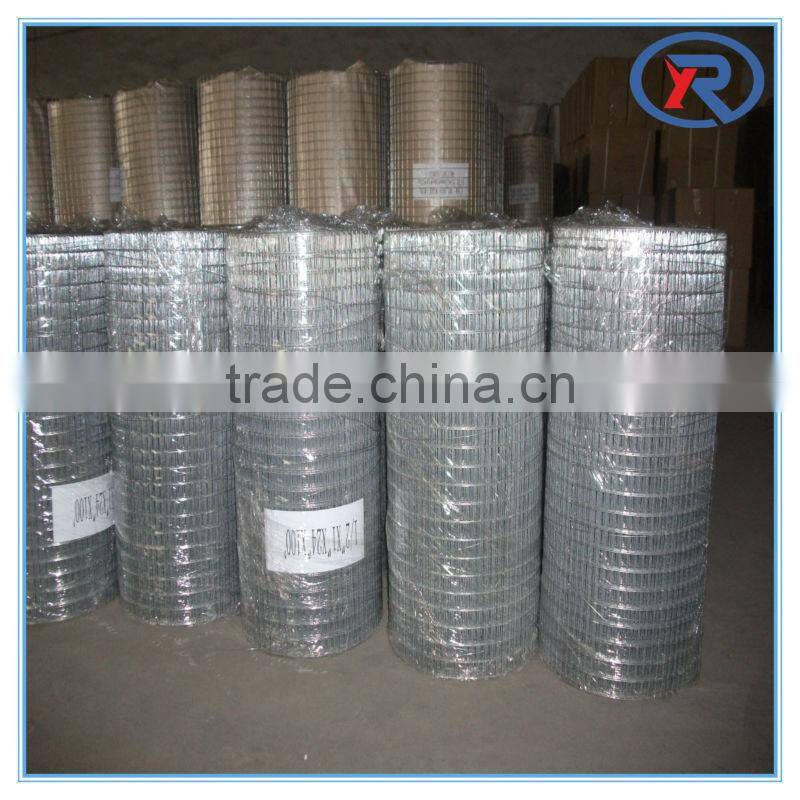 low price 1/2 ,1/4 inch hot dipped galvanized welded wire mesh made in china