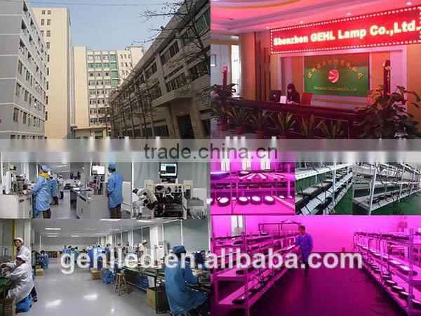 1200W LED Grow Lights Full Spectrum Kits Lamp LED Grow Light For Indoor Veg Flower Plants