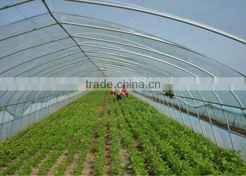 Multi span PE Cover Film PE greemhouse film for vegetable greenhouse