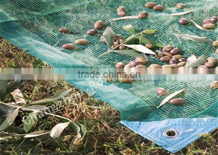 China direct factory HDPE / longterm usage/ Olive net