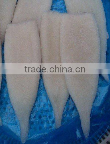 high quality frozen squid tubes fishing