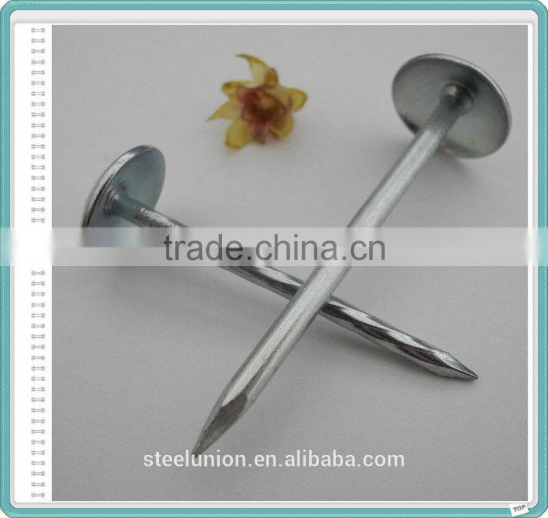 BWG9 BWG10 Export to Africa and Myanmar Indonesia E-galvanized Umbrella Head ROOFING NAILS