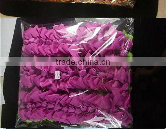 Kingdom Garden Children graduation ribbons