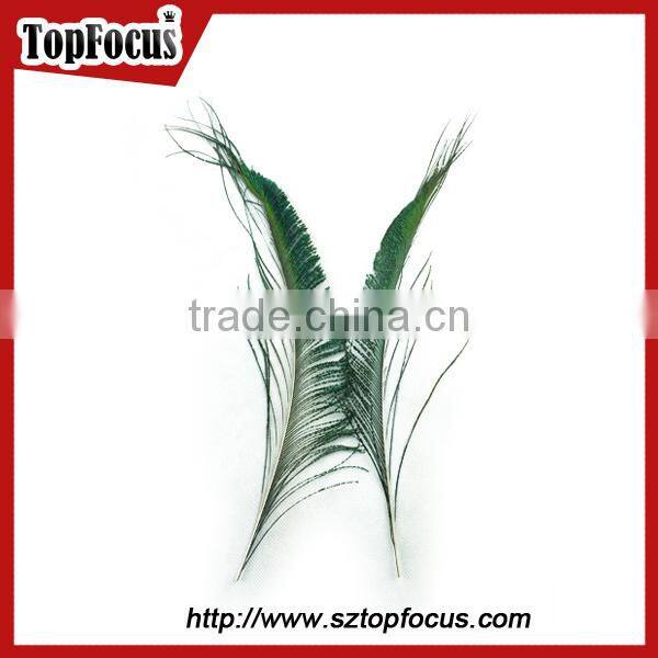 wedding dresses decoration indian wholesale natural peacock feather