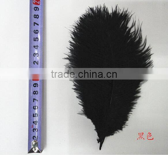18-20cm Frozen Turquoise ostrich feather Wholesale