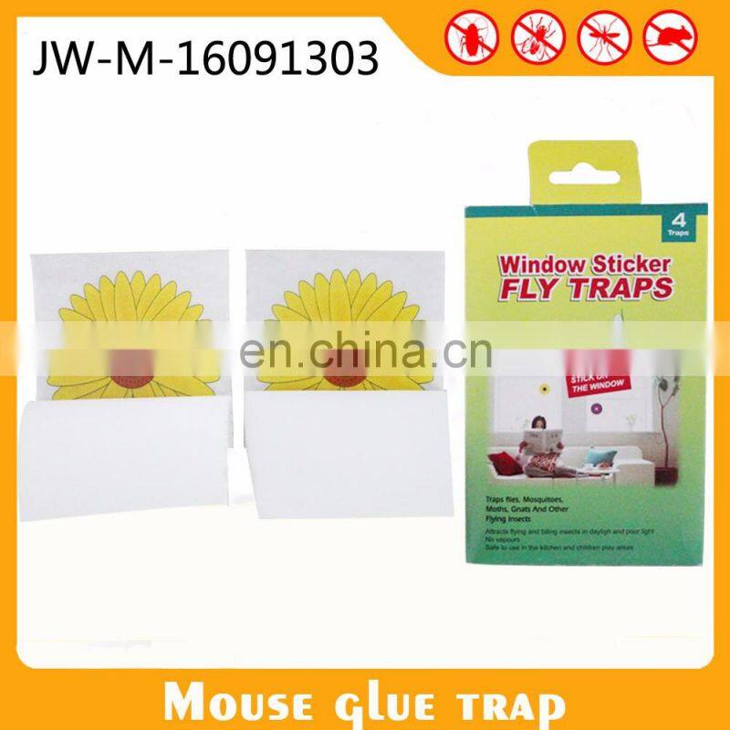 Adhesive Fly Trap Fruit Fly Paper Board