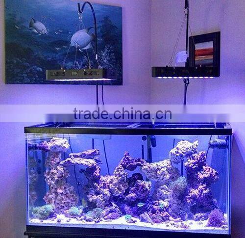 Marine led aquarium light fixture, 120w saltwater coral reef led aquarium light for 24inch 60cm reef tank