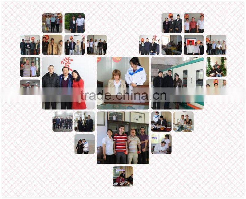 Modern XPS Foamed Board Extrusion Line/Foamed Board Extrude