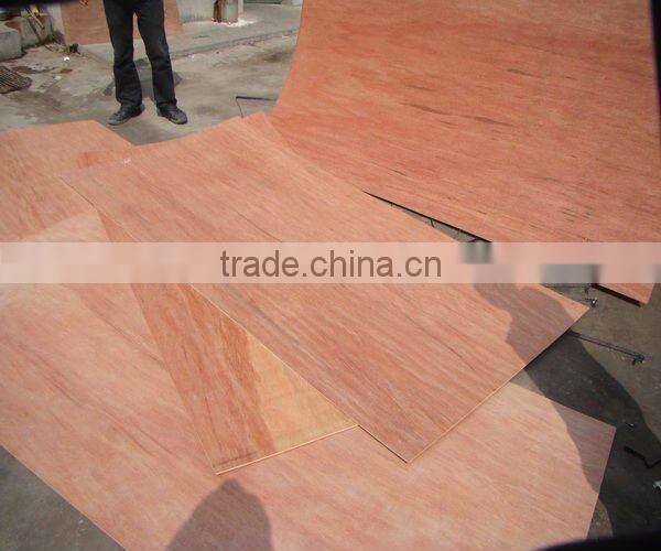 high quality bintangor plywood 2.5mm/3.6mm/4.6mm for South East Asia market