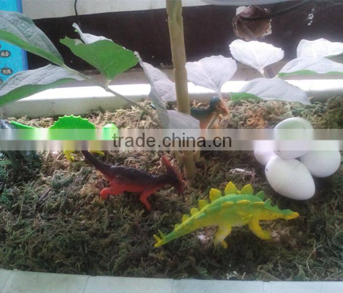 dinasour egg grow expand in water growing toy
