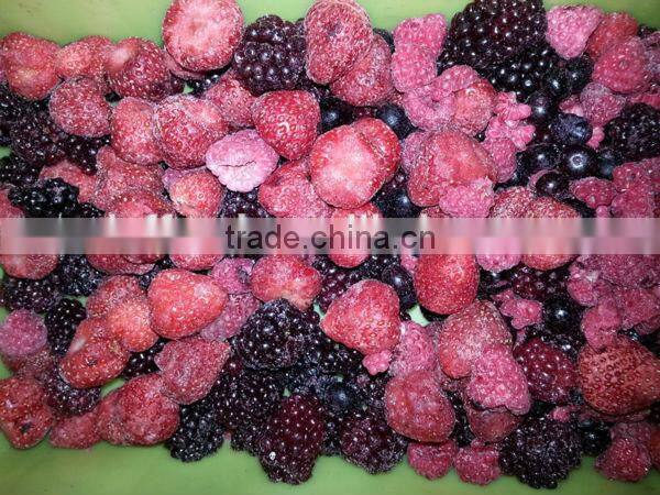 IQF frozen mixed berries
