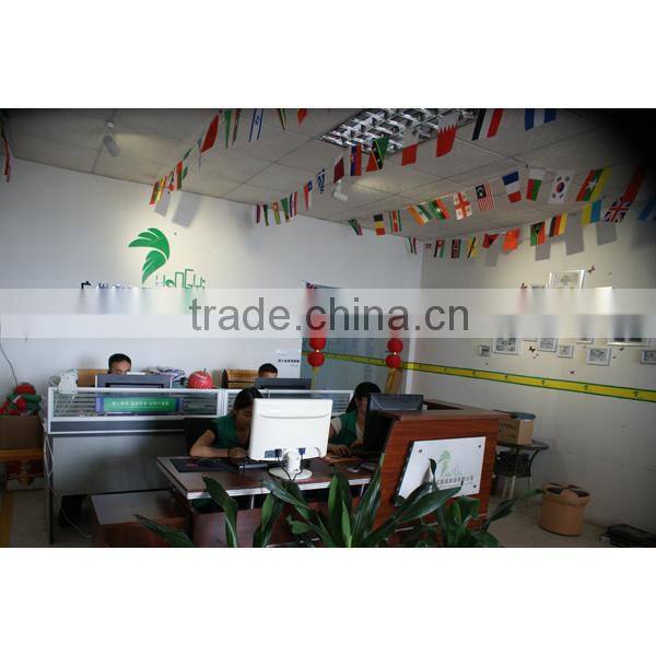 Most Attractive Design Execting Experience Camping Inflatable Clear Tent