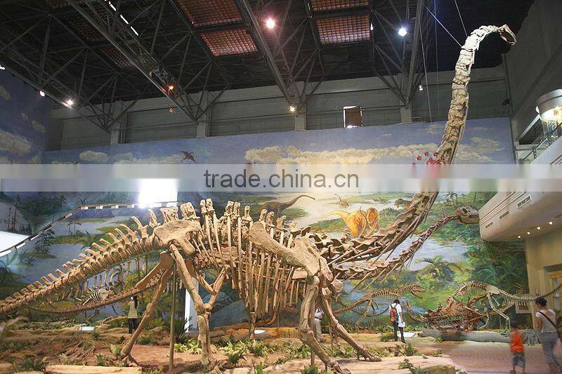 Original size Dinosaur Skeleton Replicas