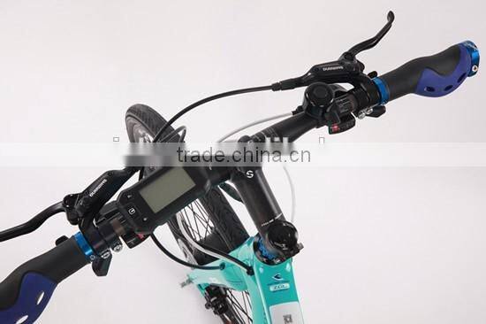 700C Carbon fiber high standard electric bicycle with 8 fun motor (Model YAKE MG)