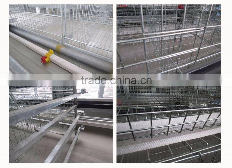 Hot selling in South africa A type layer cage for sale