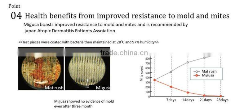 Stylish and Fading-resistant tatami mat for interior , custom order available