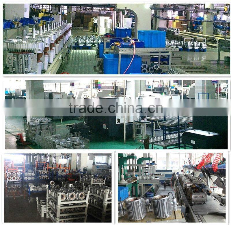 2LV61-H06,rotary ring vacuum pump,oil-free vacuum pump