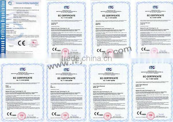 High quality 1064nm/532nm nd yag lamp tattoo removal q switch laser