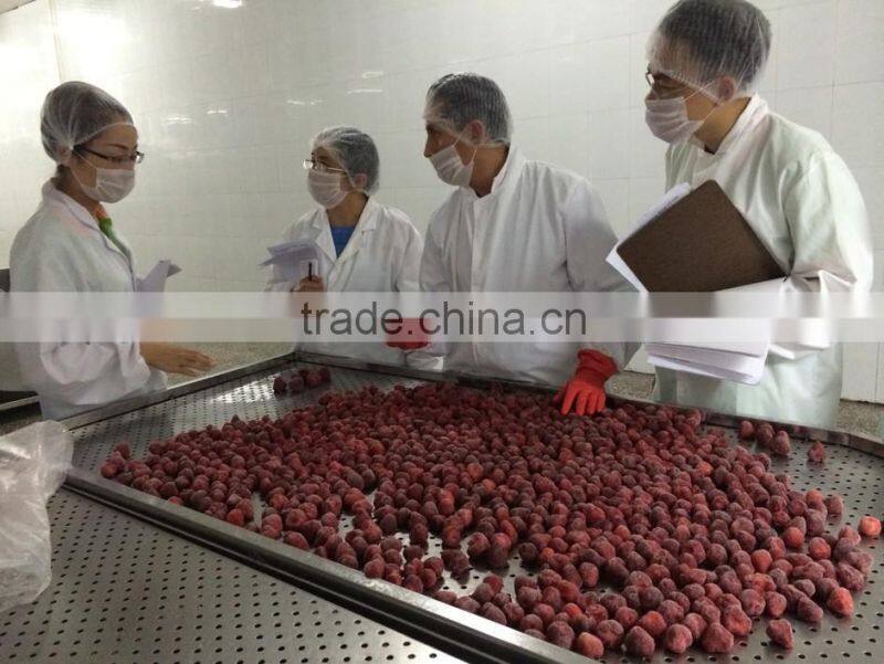 quick IQF strawberry whole