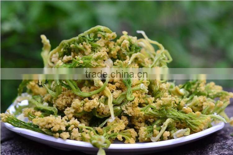 New 2015 dried broccoli best selling products in philippines