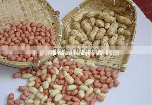 good quality China peanut sheller for sale