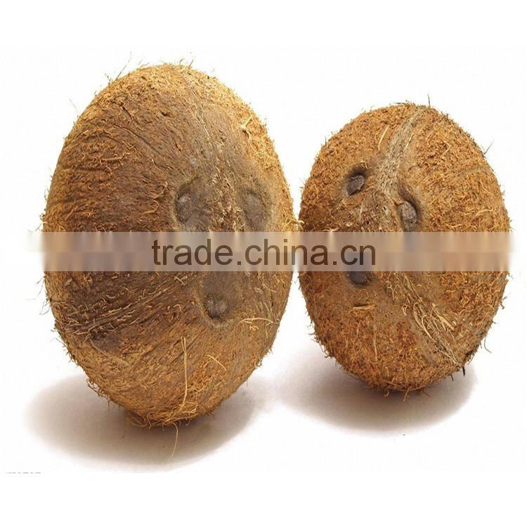 Pure Extra Virgin Coconut Oil Virgin Organic Cold Pressed