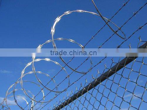 Galvanized Razor Wire Fence