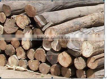 sawdust charcoal powder briquette machine