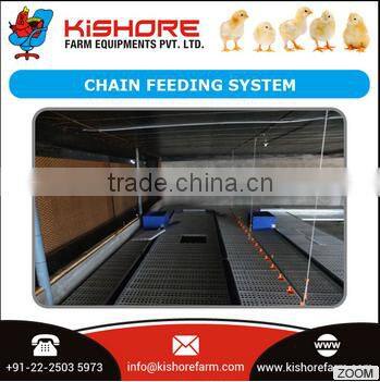 Prime Grade Chain Feeding System from Wholesale Manufacturer