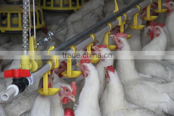 Commercial used steel trusses chicken broiler poultry shed design