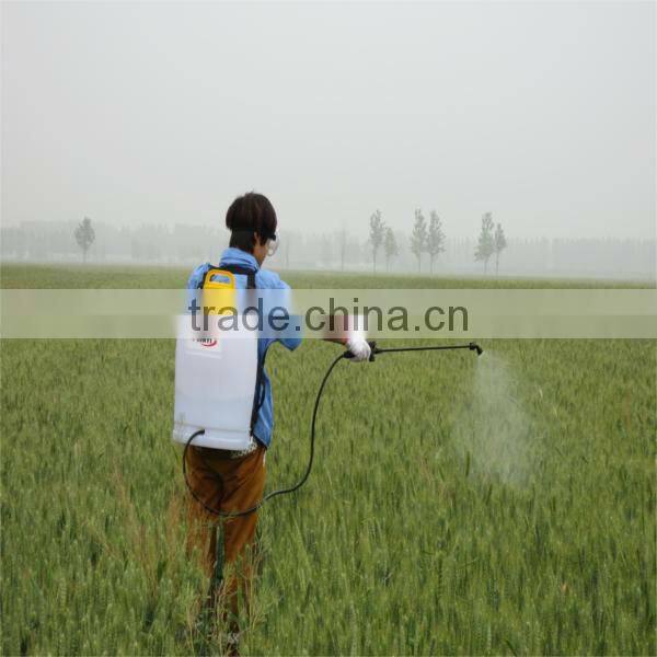 agriculture portable energy-saving electric sprayer DS-12(15,18)