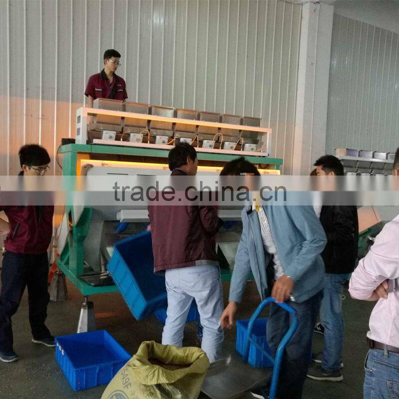 Small CCD Color Sorter Machine For Oil Seeds