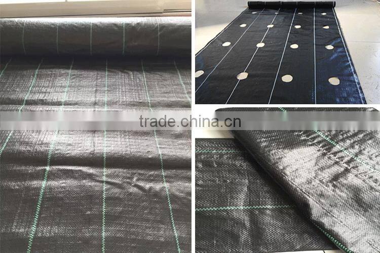 Woven grass geotextile mat