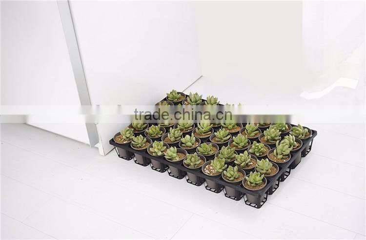 Plastic 40 Divided Flower Pot Stand