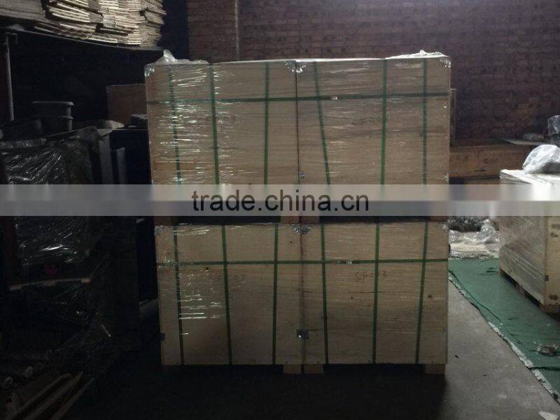 Botou hengsheng factory supplied high quality europe market cast iron stove / insert cast iron stove HS-X9