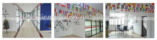 Spare Chainsaw 52CC 58CC 62CC Petrol Chainsaw with CE