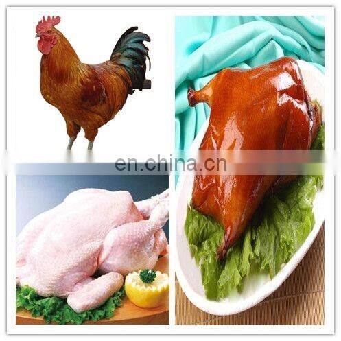 Multifunction chicken hair removing machine/goose plucker/used poultry processing equipment