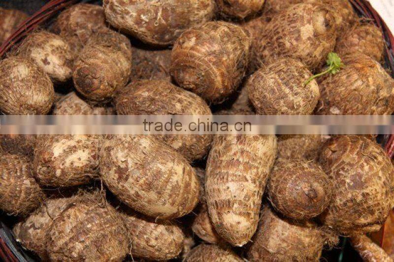 Frozen Taro Root Sliced from Vietnam
