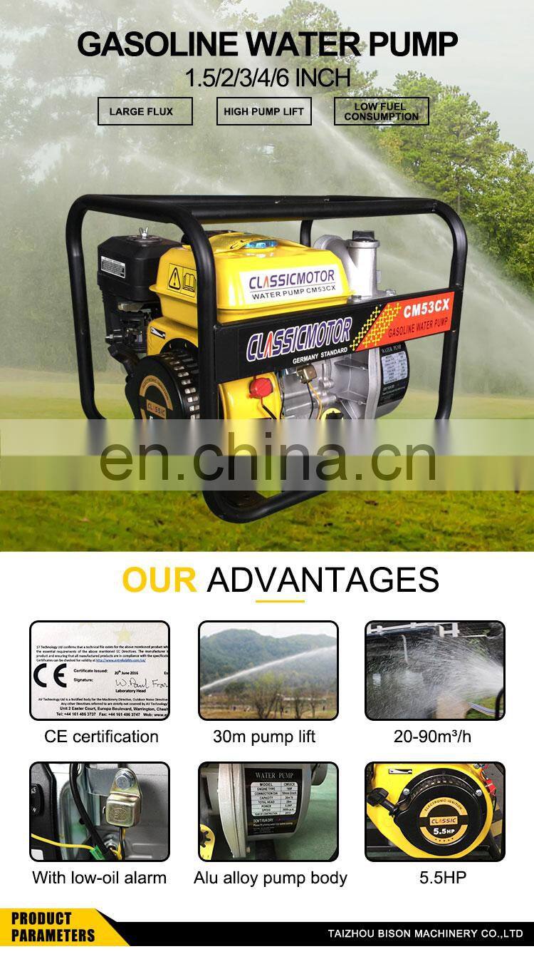 Agriculture 6.5hp Gasoline Water Pump 3 inch 3" Engine Irrigation Pump