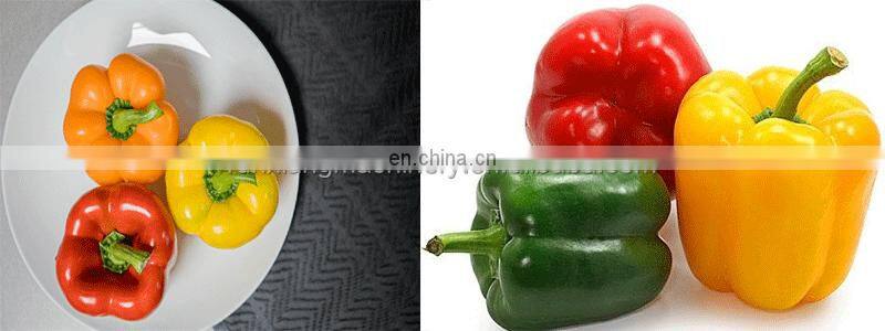 Runxiang Factory Directory Sale China Quinces Pear Peach Apricot Apple Pepper Pitting And Splitting machine