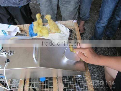 cheap automatic chick vaccination machine