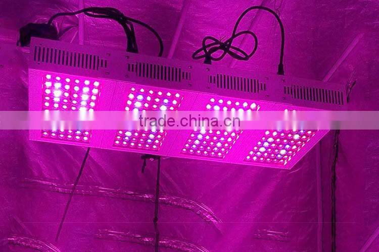 Online shopping full spectrum 300W led grow light for tiny houses using