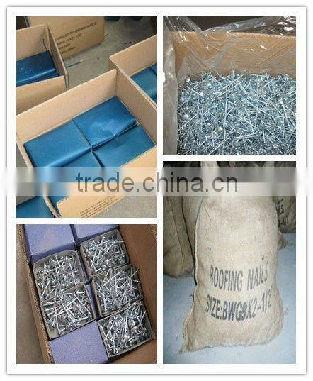 9 bwg eletro galvanized roofing nail with umbrella head