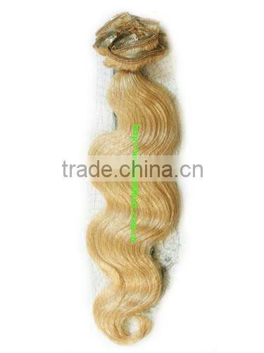 Clips In Hair / Clips On Human Hair Extensions / Clip-in