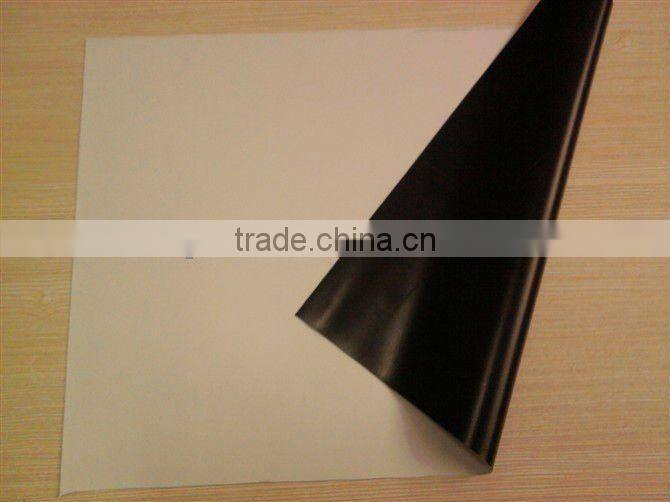 front screen fabric with black border & eyelet